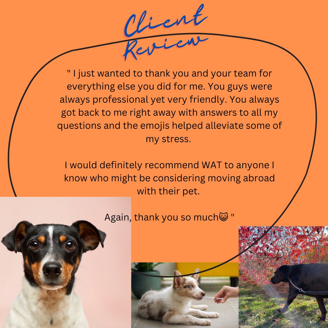 WWanimaltravel's tweet image. We love hearing from you and your experience working with WAT in your pet relocation story! 

#animalrelocation #pettravel #travel #dogmom #dogdad #toronto #canadian