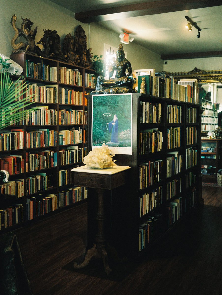 oli1ou's tweet photo. Shot for the homies bookstore “Dancing Elephant” https://t.co/RsTDRWSoOY