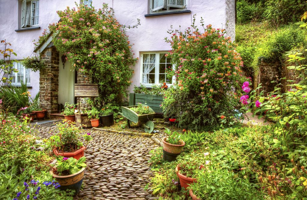 azsmh's tweet photo. Looks like this garden is a bit out of control, but check out the cool, stone walkway - very unique.

Personalize. Unique. For You.
Message me to discuss your real estate goals.

#yourrealtor #azrealestate #phoenixrealestate... https://t.co/iHIGGg1l5Z https://t.co/fePL1wasKO