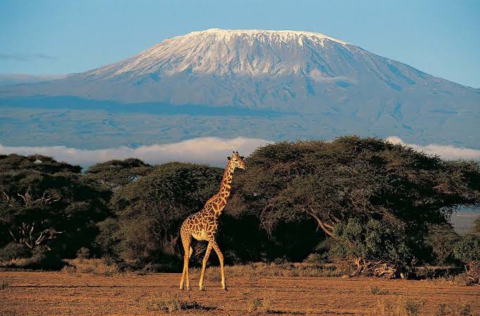 aka_NOCTURNAL's tweet photo. @UberFacts Kilimanjaro https://t.co/TRHIskkrhg