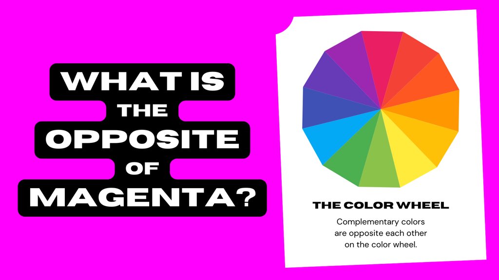 HMB_Susan's tweet image. ⚠️ More info on the Magenta Agenda 🎪🤡🤡
#MagentaCode 
@0ctoberReignz @wagscgo 
👉 Creeps Use Color and Frequency To Effect Reality (The Magenta Magenda) youtu.be/oo47N3FDw_M via @YouTube