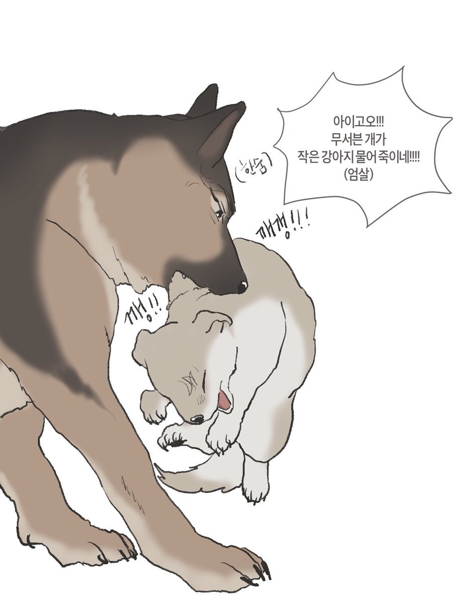 체리뱜 tweet media