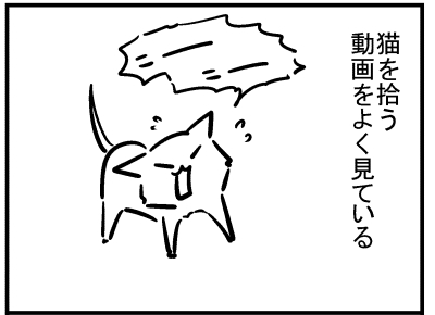 ブログ更新!『猫を拾う夢…のはずが』 ⇒ 