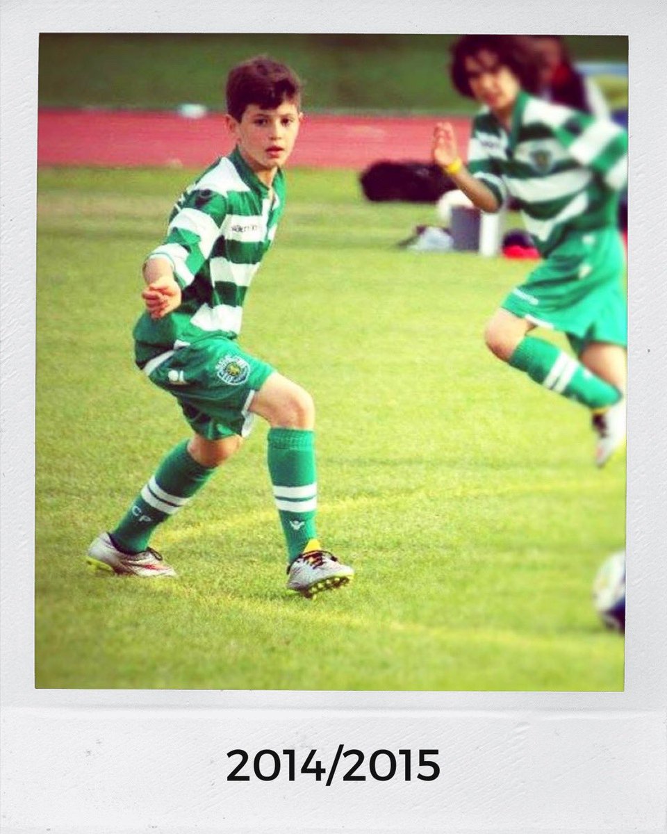 Sporting CP tweet media
