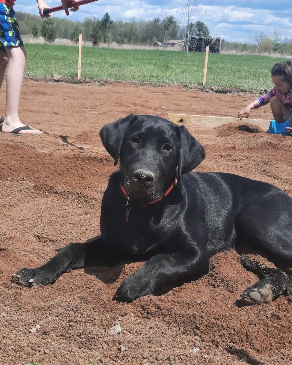 It's been a really busy day at the site, y'all stay blessed ☺️💞