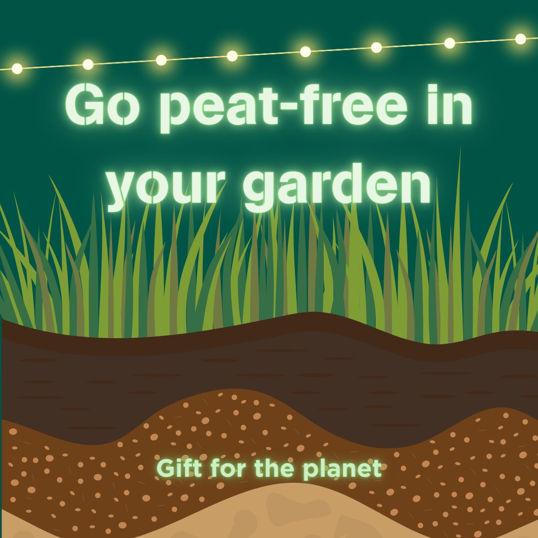 NatResWales's tweet photo. By pledging to use only peat-free compost in your garden youβll help to keep vital peatlands intact.
Find out why peatlands are so important: https://t.co/kjaq8uS3FR
Give a #GiftForThePlanet to help nature and people thrive. ππ https://t.co/ooS4zga7Ht