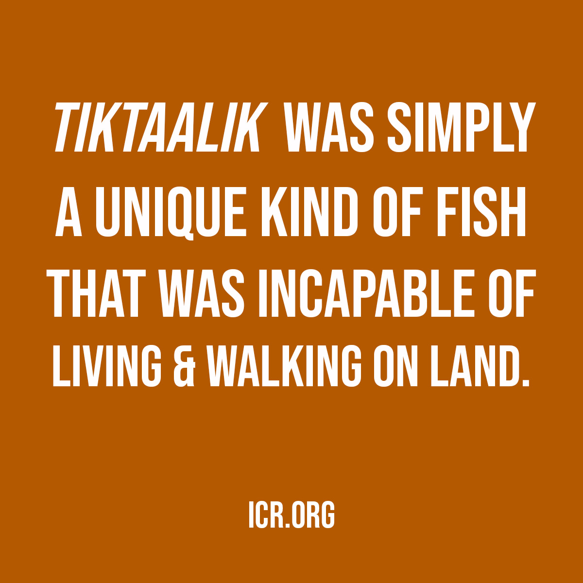 ICRscience's tweet image. 🌊 While having some interesting traits, Tiktaalik was simply a unique kind of fish that was incapable of living and walking on land.

#ScienceQuote #ScienceConfirmsTheBible