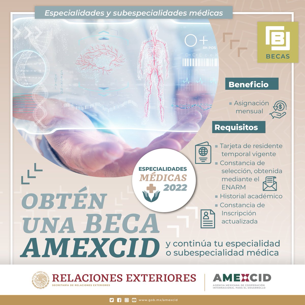 AMEXCID's tweet photo. 📌 Obtén una #Beca #AMEXCID y continúa tu especialidad o subespecialidad médica.
 
#Convocatoria disponible aquí: https://t.co/5VNncv3cGe https://t.co/kKREj2Sx2B