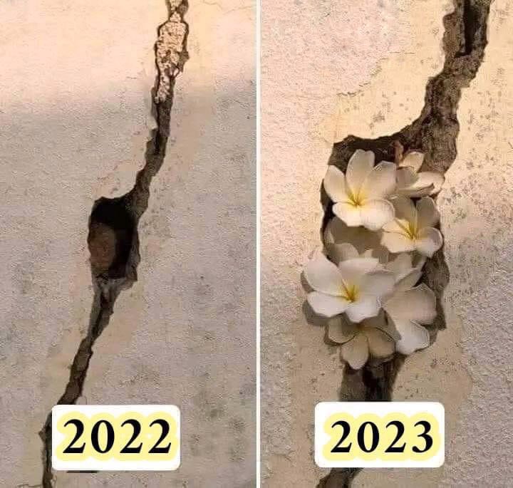 اللهم عاماً دون ذنب ، دون حُزن ، دون فراق ، دون حرمان ، دون كسرة ، دون فشل ، دون شماتة ، دون صدمة