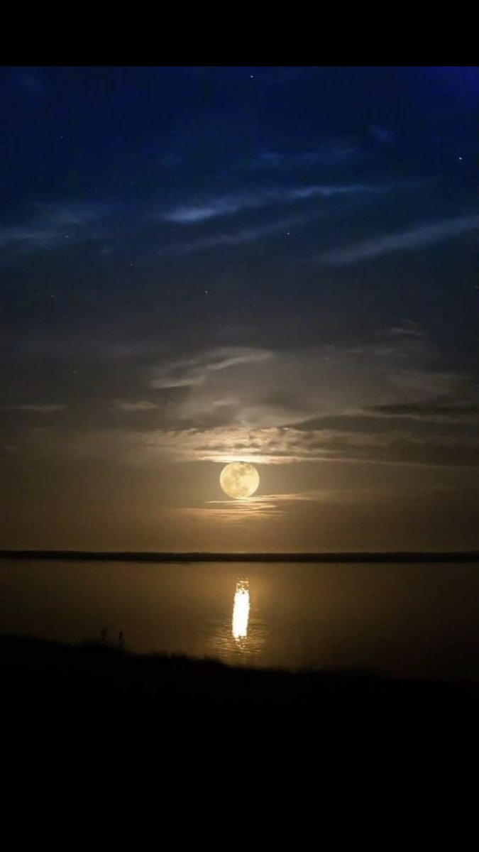 Paty Ottoni tweet media