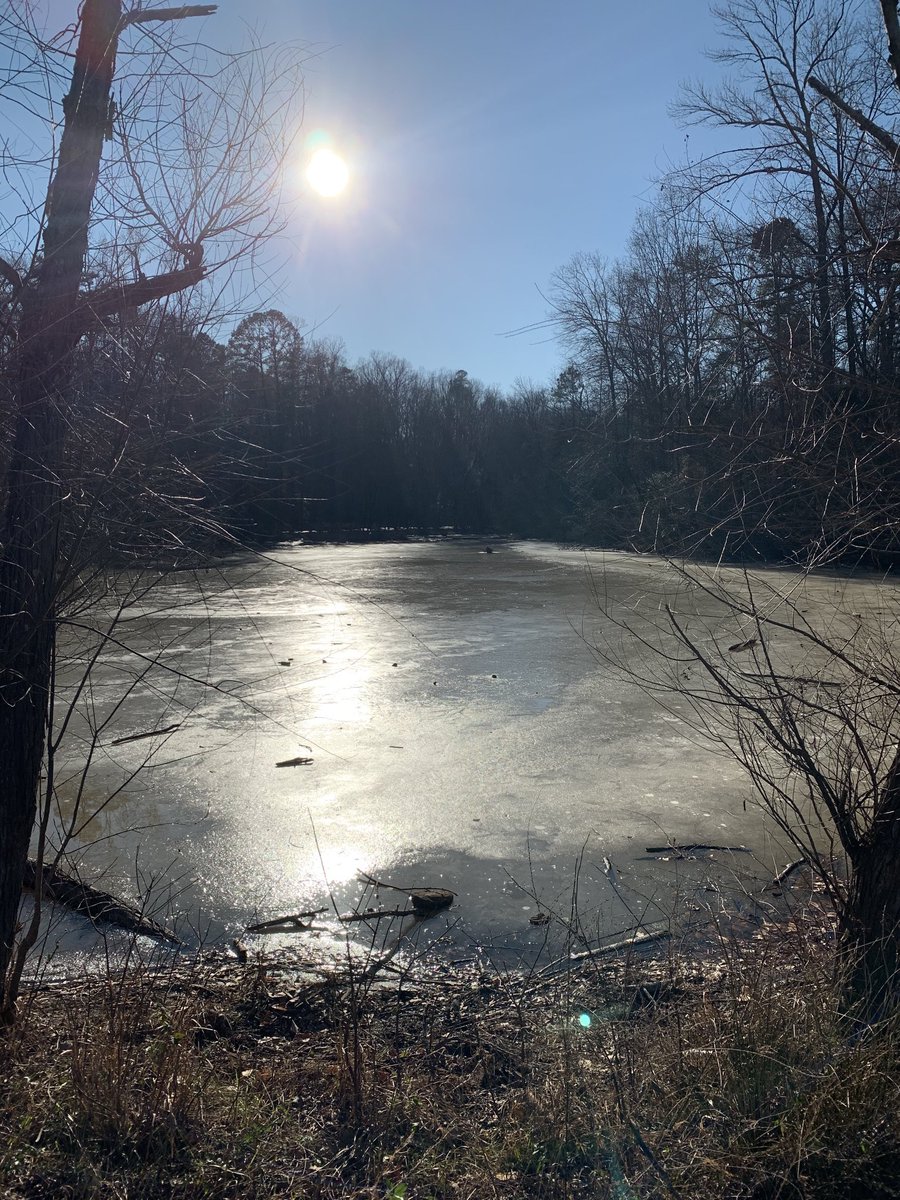 DouglasCurley's tweet photo. Today’s treasure! #trailrunning https://t.co/gtuBf0lA3d