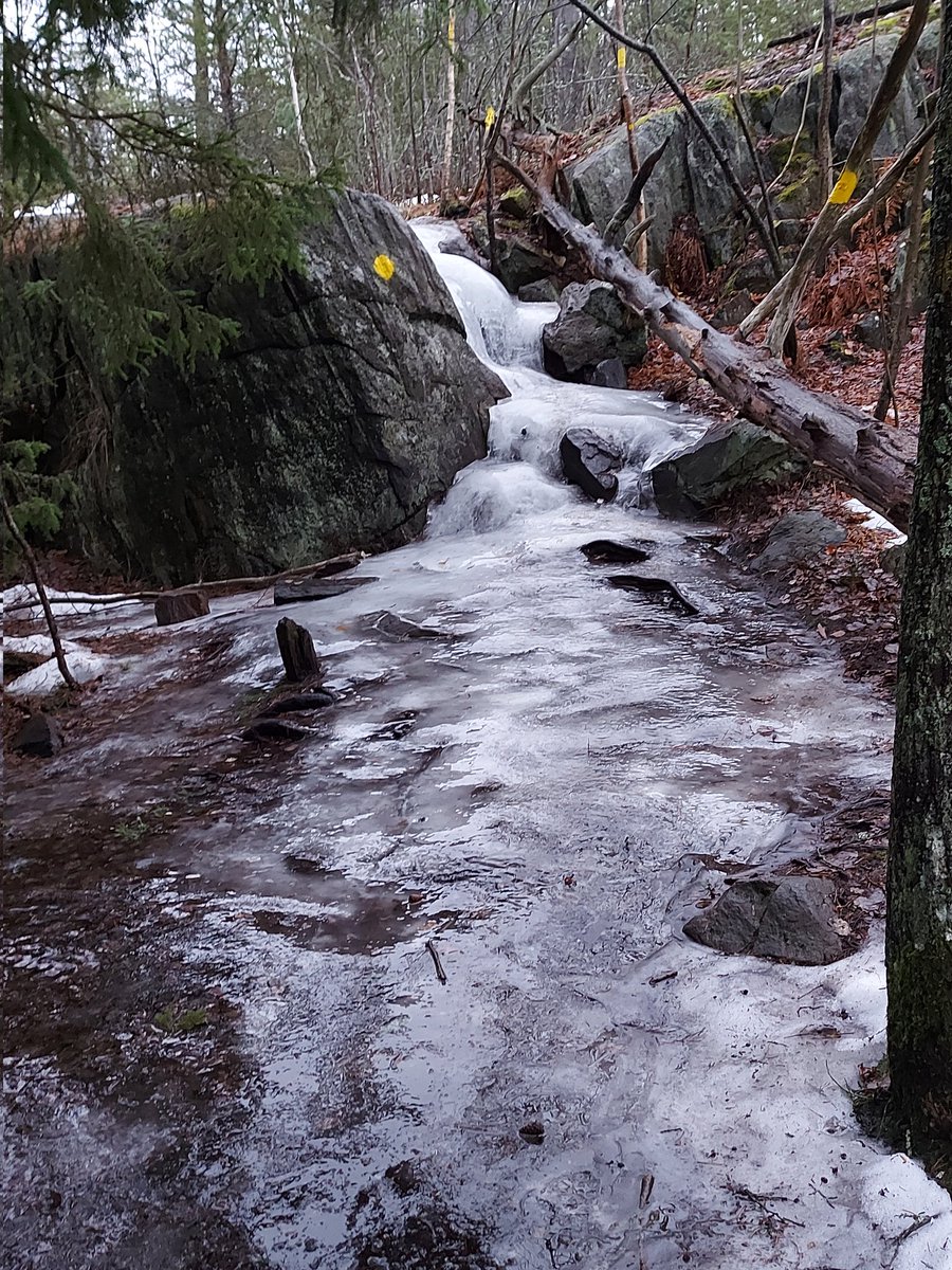 WijkAgnes's tweet photo. Onze wandelroute in Hellasgården, hij was niet overal even makkelijk....
Maar wel heel mooi! https://t.co/KuBbaWEOt9