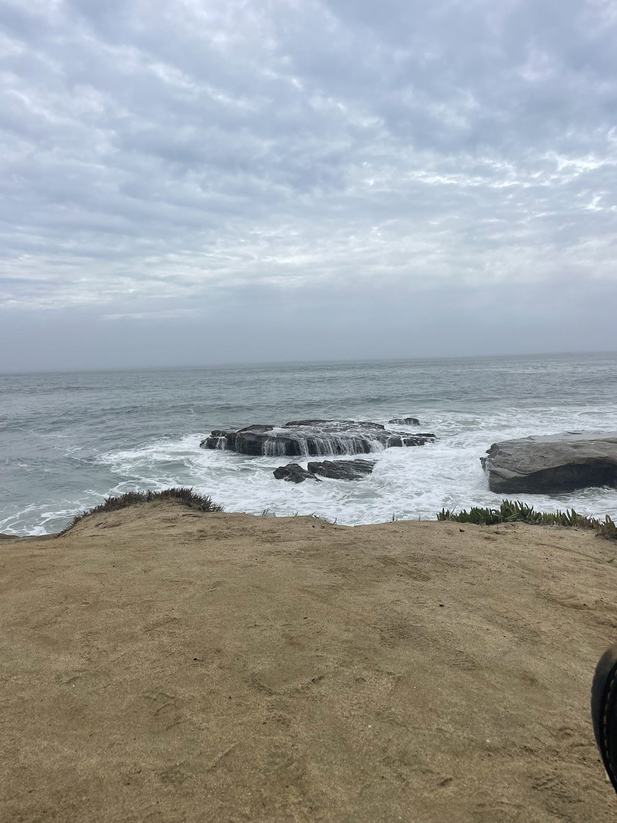 eeleeri's tweet photo. Buns out at the beach https://t.co/OGO3ePsDSS