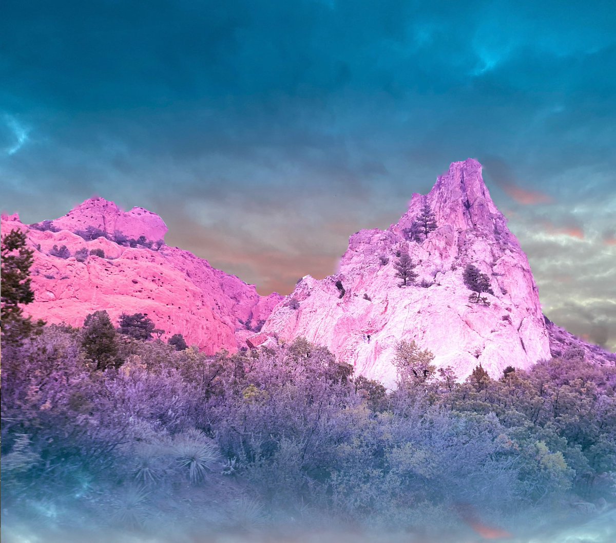 DoloresKrajnak NFTNYC Beeple Tokyo Miami London tweet media