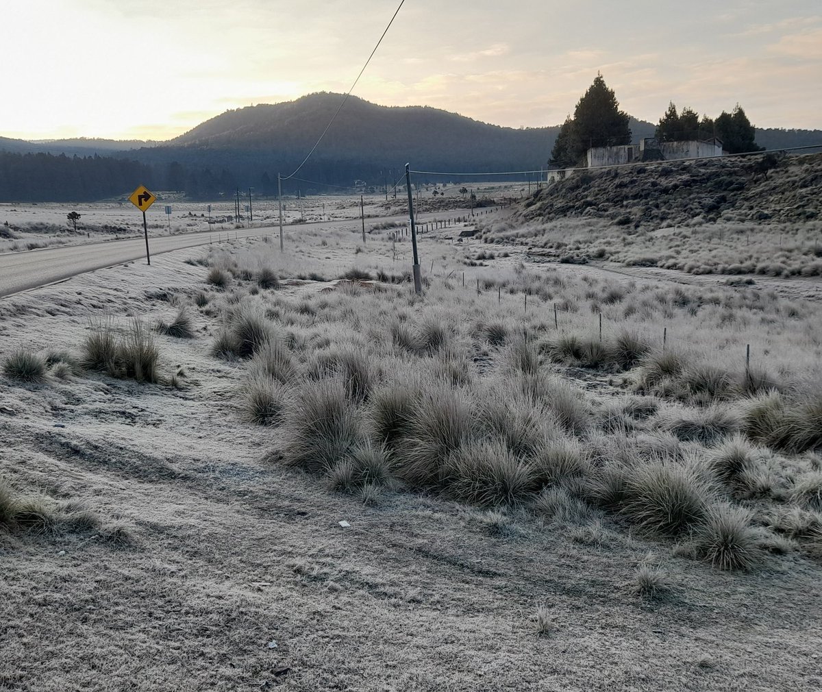 soyluisgabriel1's tweet photo. 🥶 🧊 Así la carretera Chignahuapan - Tlaxco. 

📍Sierra Norte de #Puebla. https://t.co/5Qol8FKrZx