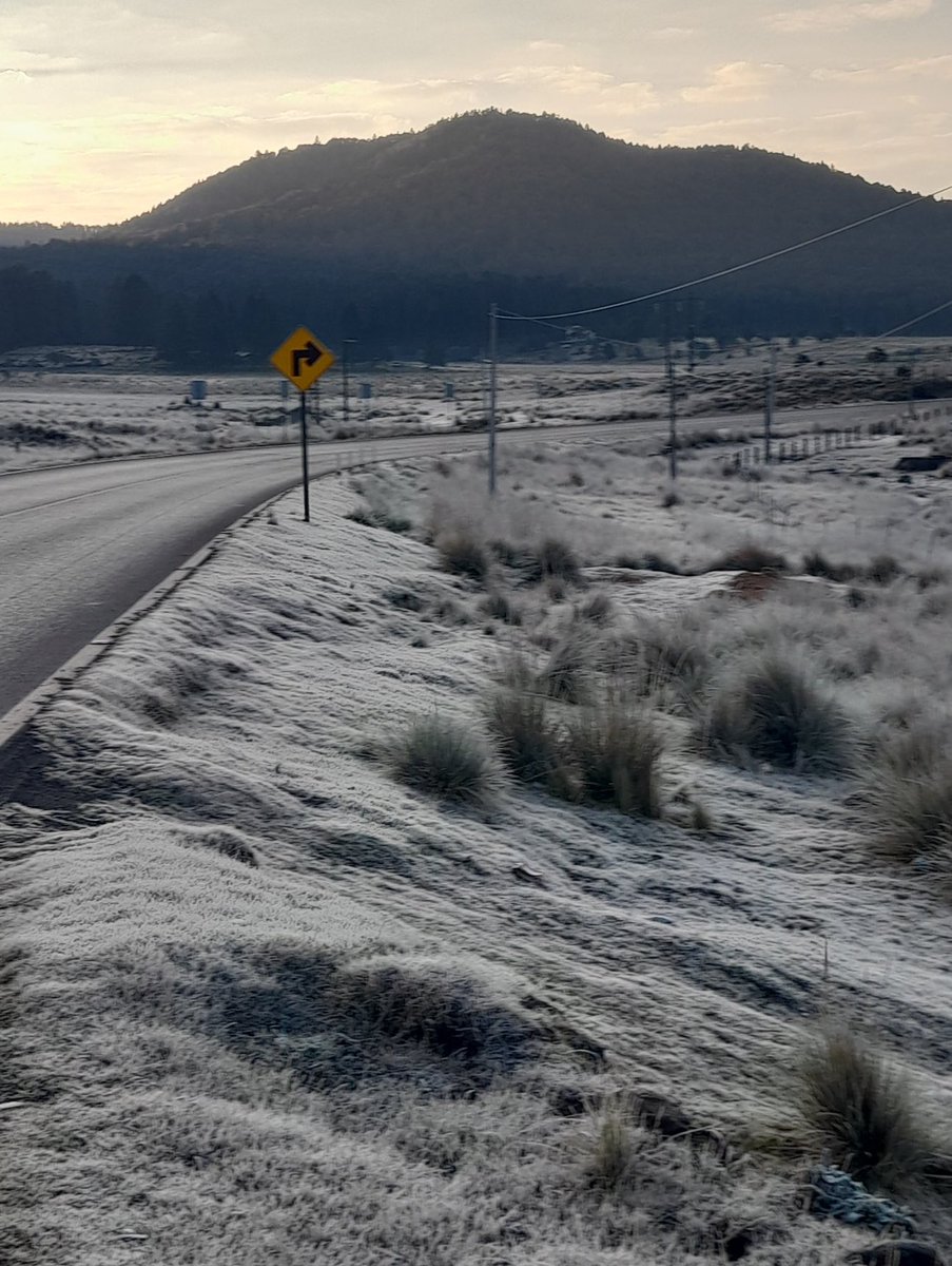 soyluisgabriel1's tweet photo. 🥶 🧊 Así la carretera Chignahuapan - Tlaxco. 

📍Sierra Norte de #Puebla. https://t.co/5Qol8FKrZx