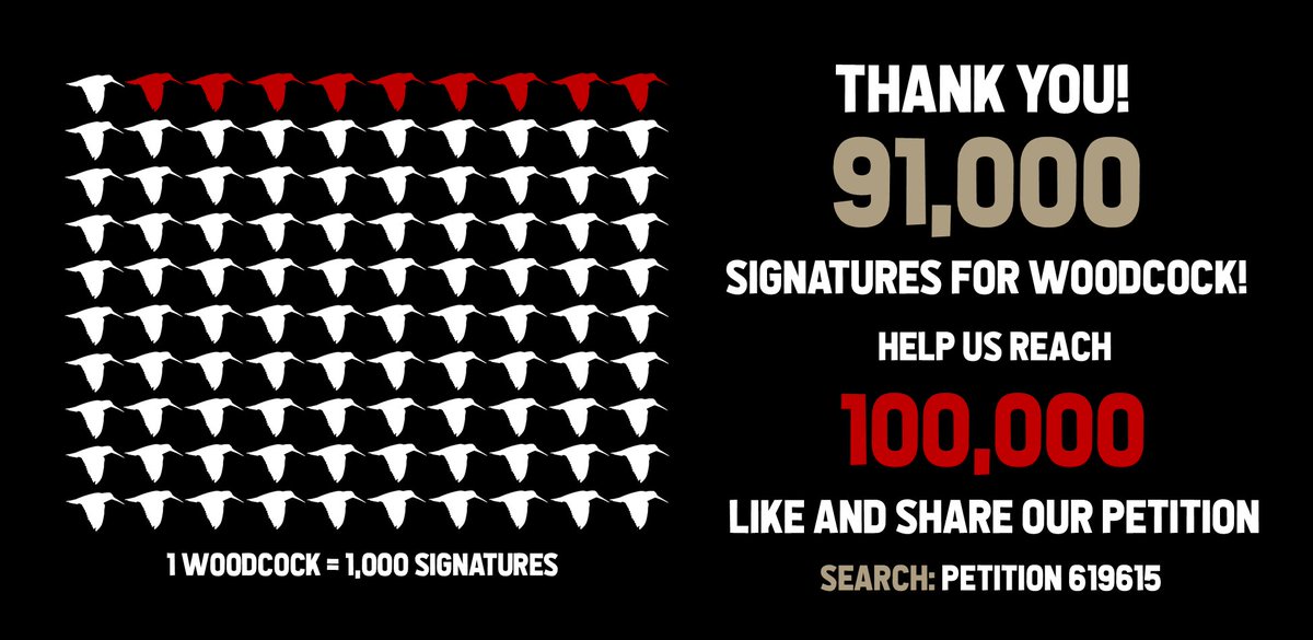 WildJustice_org's tweet photo. Wow, 91,000 already! That's now 3,000 names added to our Woodcock petition since this morning, thank you! Please keep spreading the word: https://t.co/oWEpuTIWrR https://t.co/Ty4MmaIWaA