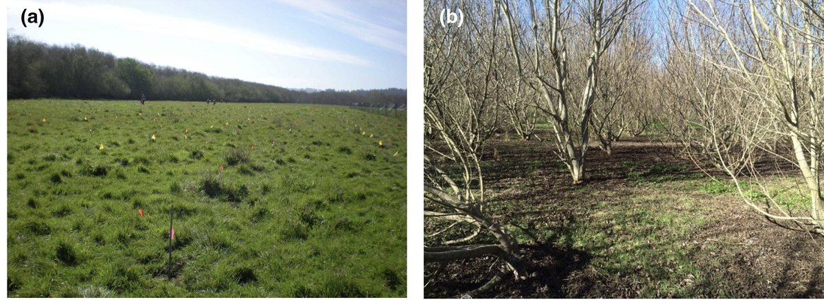 Botanical Society of America tweet media