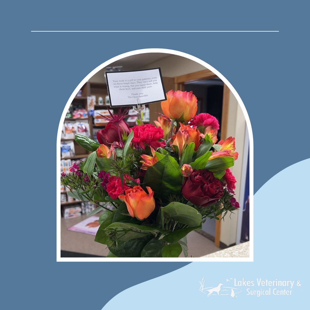LakesVeterinary's tweet photo. Thank you to the Orzechowski family for sending this lovely bouquet, and very touching message...."Your work is a gift to your patients ... You repair them, help them heal and ease their pain". https://t.co/zjXqFBgteR