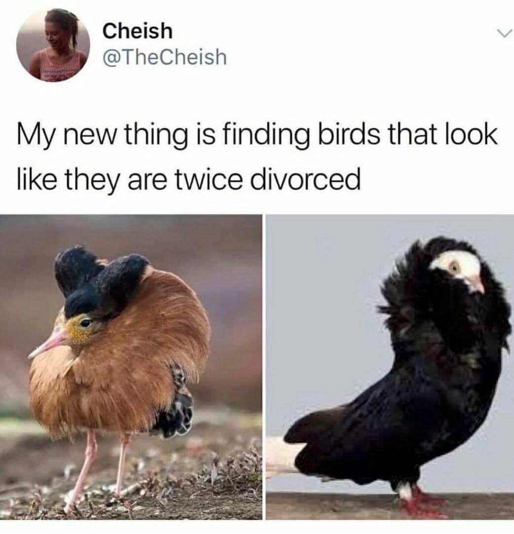 This made me think of the NYC fabulous ladies who lunch and hosted Elder Skelter <a href="/DateDateline/">A Date With Dateline Podcast 😷🏳️‍🌈✌🏽🦉</a>