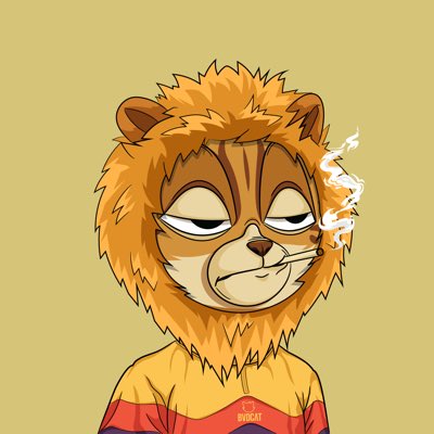 bvsecvmp's tweet photo. #NewProfilePic @BVDCAT_ Let's Go! Do we follow in this community? https://t.co/hwL1eBZx8S