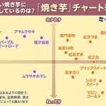 これを見れば一目瞭然!あなたの好みは？焼き芋チャート表。