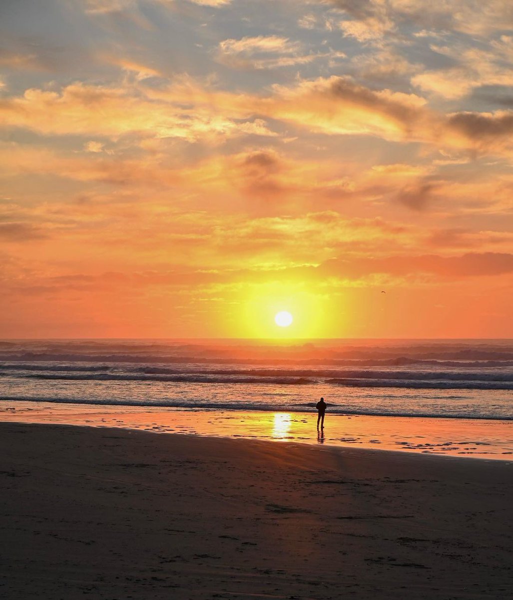 ThePeoplesCoast's tweet photo. End your day by taking a relaxing walk on #ThePeoplesCoast.

📸 : Brian Orion via Instagram https://t.co/cwjADOYHVD