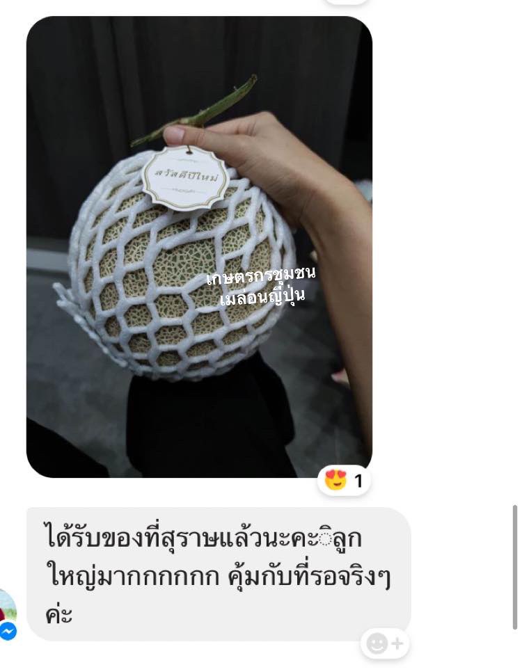เกษตรกรชุมชนเมล่อนญี่ปุ่น tweet media