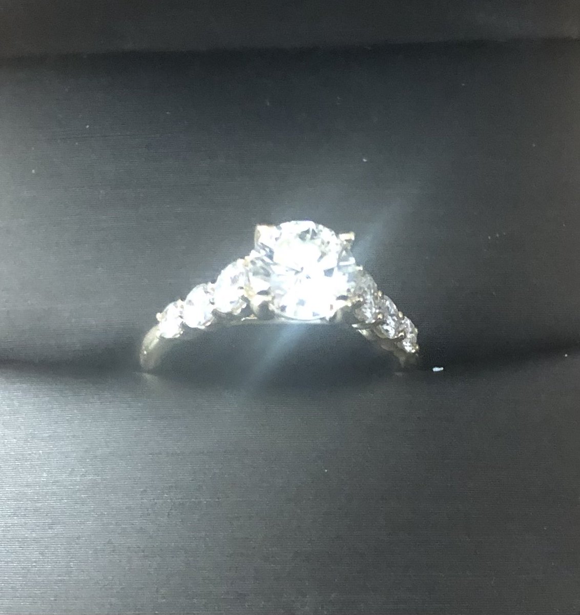 Patty Harken tweet media