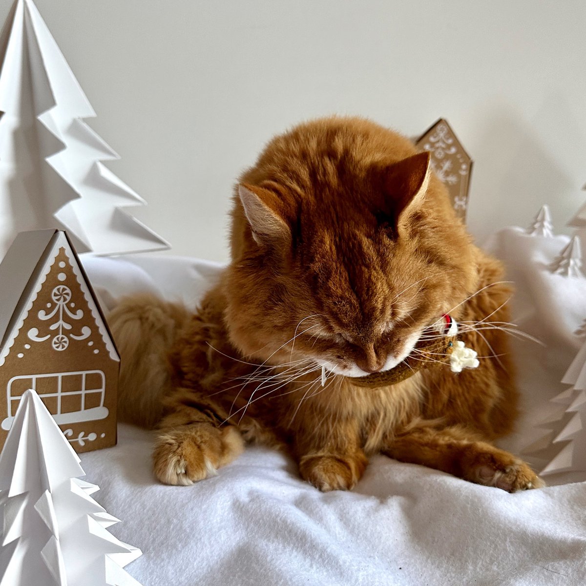 Gingerzilla raids a gingerbread village. Circa 2022. #Christmas #CatsOfTwitter