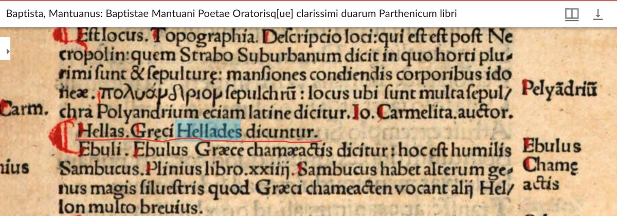 epirihelen's tweet photo. @ethiopian_white Mono the truth. #Hellas #Hellenes #Graeci #Hellade Learn something because you are at the age where your myalo will fail. 🫠 https://t.co/F91qqrDKwR
