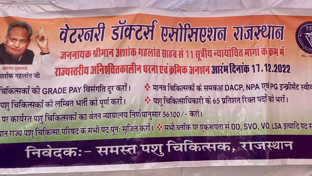 पशु चिकित्सक मांगे न्याय
- 11 सूत्री मांगों को लेकर पशु चिकित्सकों का राजधानी में महापड़ाव, मांगें नहीं माने से आक्रोश, राजस्थान पशु चिकित्सक संघ कर सकता है कार्य बहिष्कार की घोषणा