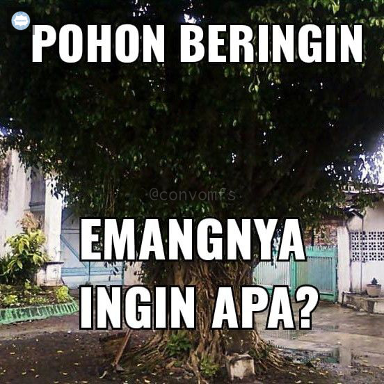 convomfs's tweet photo. 💭 wkwkwk bagi meme kek gini dong https://t.co/L7Q4aS3kP9