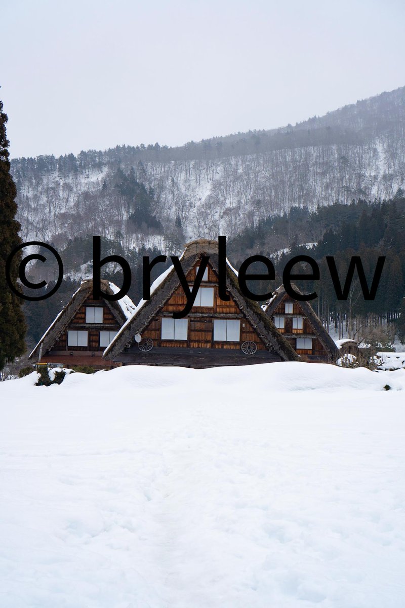 Bry | Streamer | UGC Creator | Cosplayer | Japan tweet media