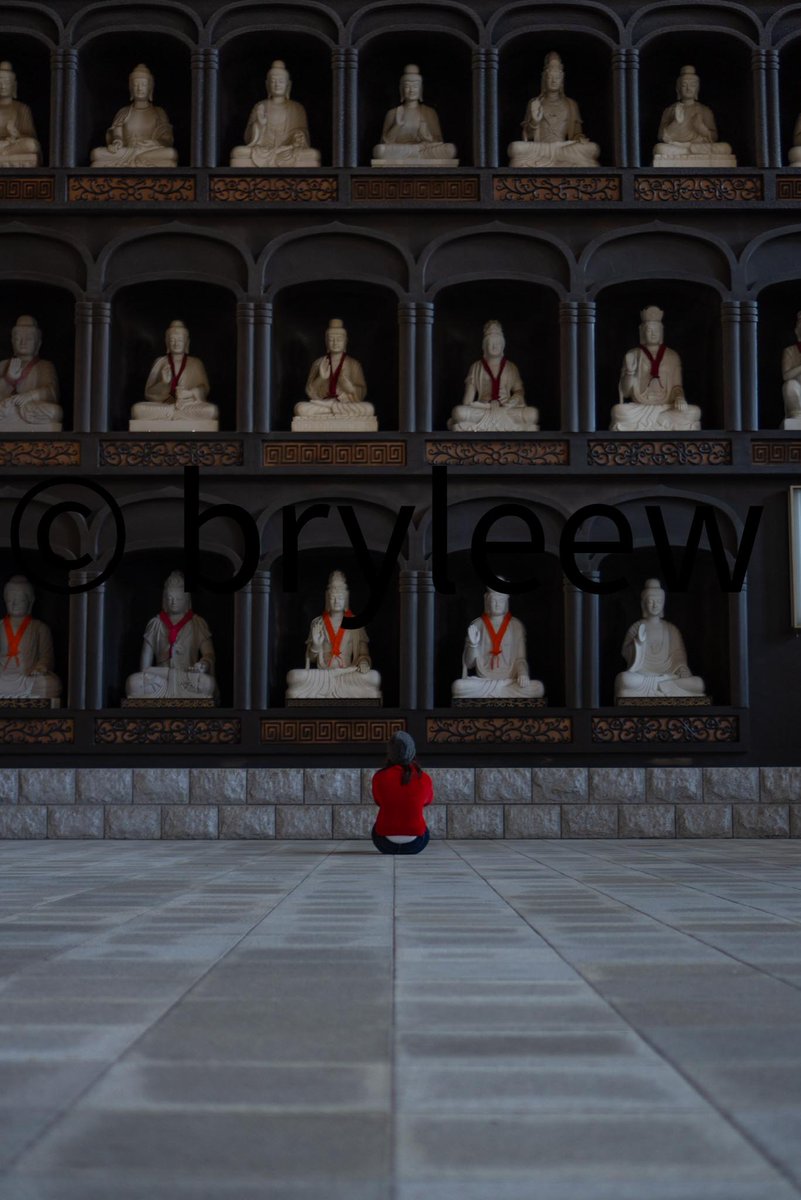 Bry | Streamer | UGC Creator | Cosplayer | Japan tweet media