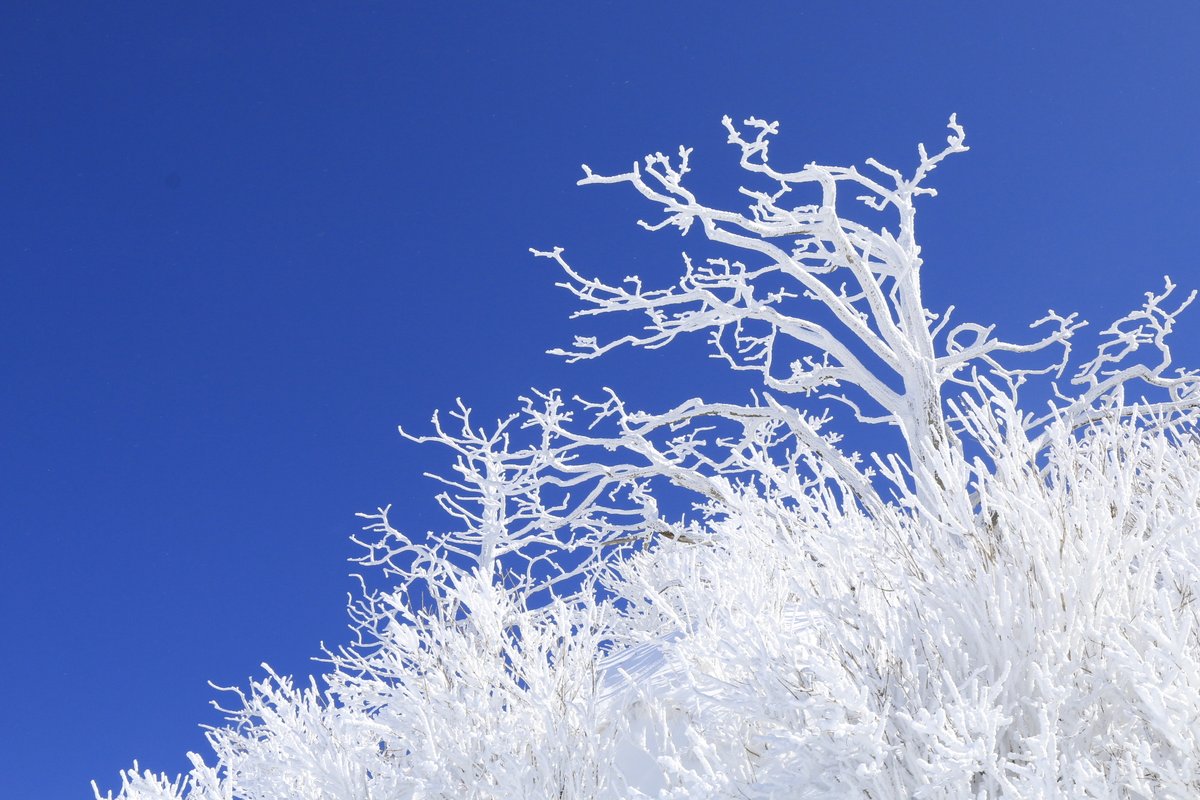 아름다운 겨울 덕유산 상고대~

CONVIÉRTETE EN UN DIO
youtu.be/Rf1F4bvl6Tc  (Spanish)

Los Inconfundibles Dueños del Cielo
youtu.be/9xz95Xyuno0 (Spanish)

#doalnara #evangelio #cielo #ProfesorSeokseon #jtbcnoticias #Paz #MúsicaK #mbcNotadePD #돌나라 #pd수첩 #jtbc뉴스룸