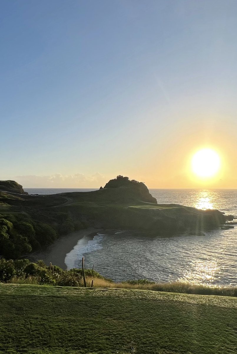 Gerry Dee tweet media