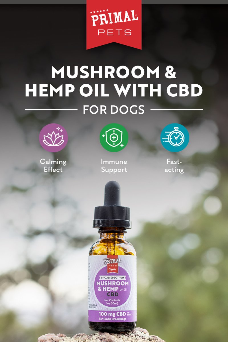 primalpetsupps's tweet photo. 🍄🌱 Our Mushroom &amp; Hemp Oil with CBD combines immune-boosting functional mushrooms with fast-acting CBD for a soothing, all-natural way to help manage your dog's stress &amp; anxiety! Learn more here: https://t.co/SIlrwqXhmr

#functionalmushrooms #cbdfordogs #adventuredog https://t.co/bFJyJZqdlS