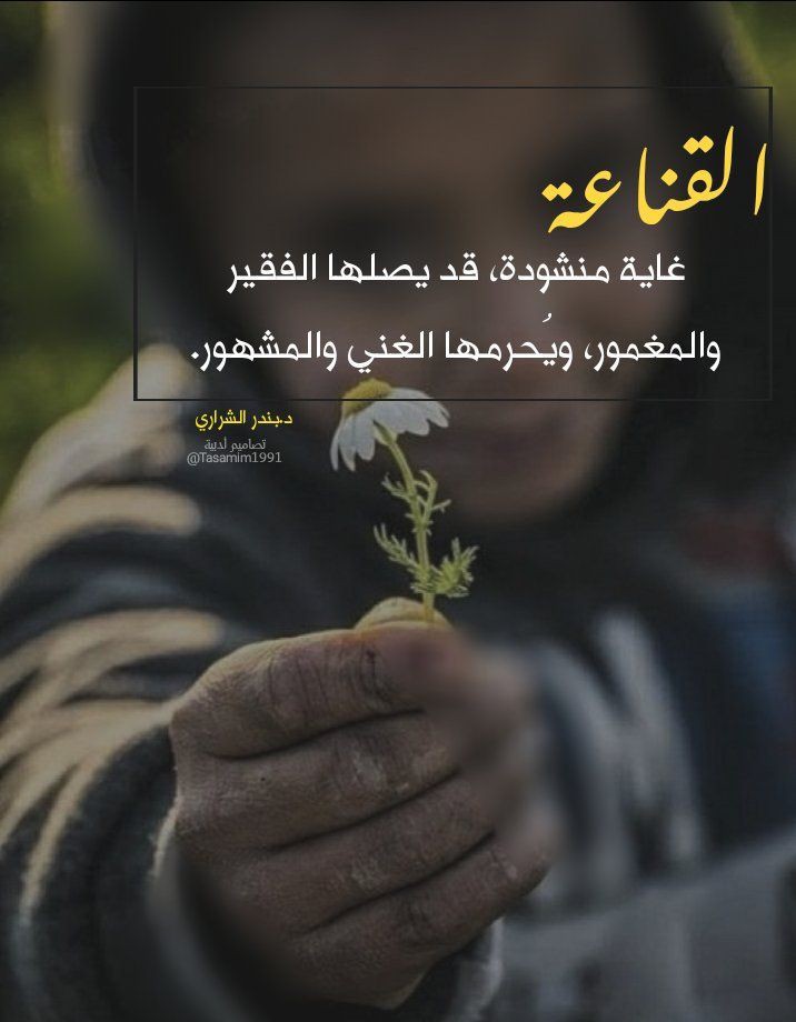 تمر حنه (@karmafathy88) on Twitter photo 