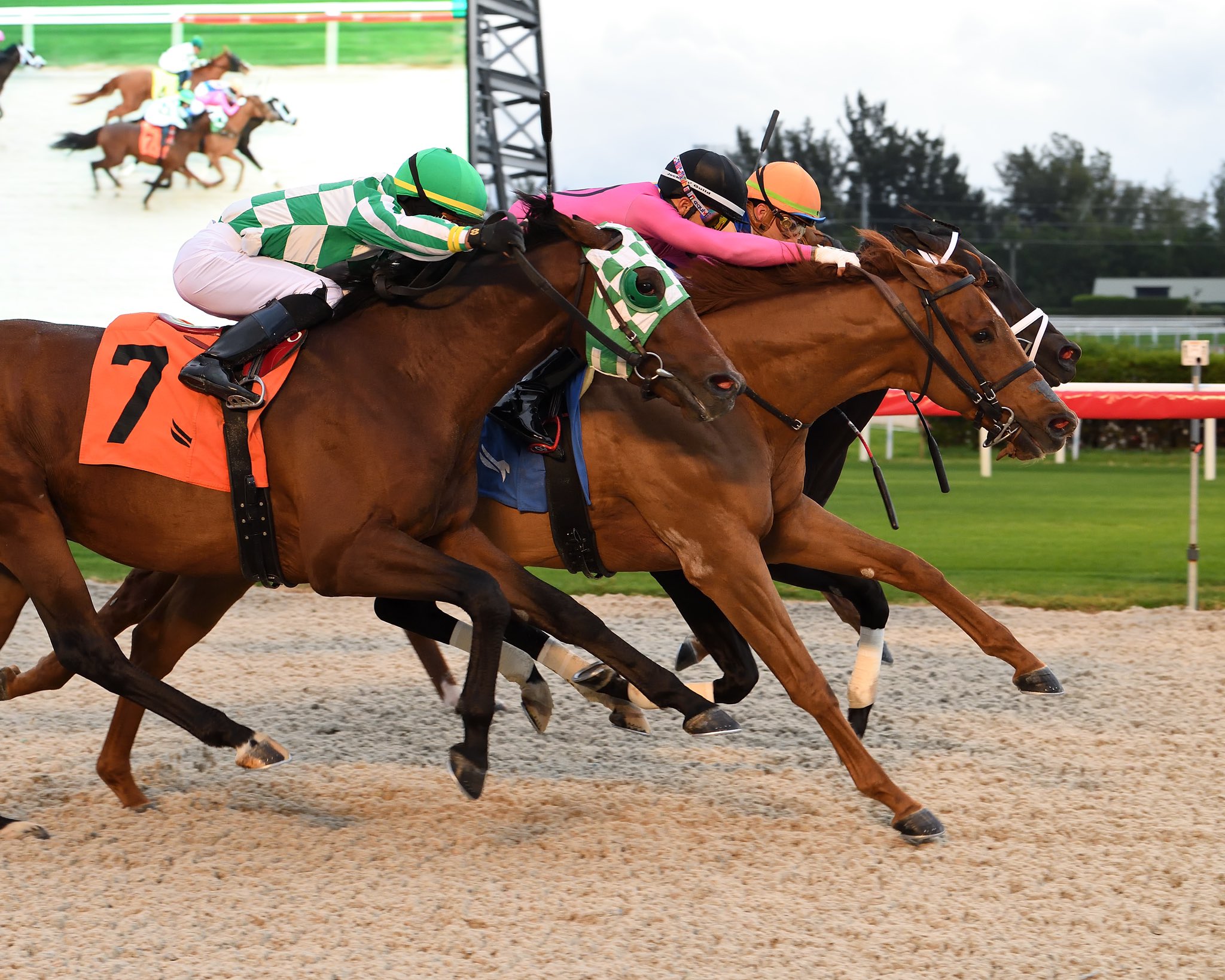 Pascual Artiles (artilespascualf) / Twitter