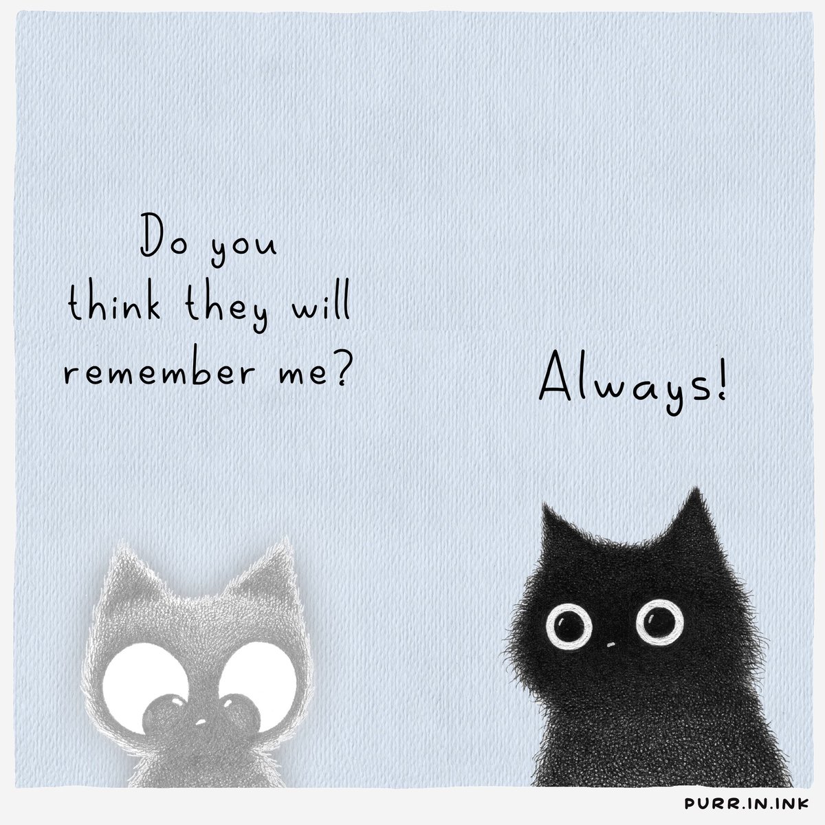 filzballjaeger's tweet photo. #RIPThunder... ๐ฟ๐ @MiddVt
You will not be forgotten..โค๐ https://t.co/FsgAe35ySY