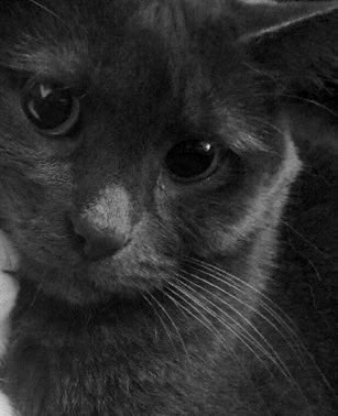 10/10 siyah beyaz (@ononsiyahbeyaz) on Twitter photo 