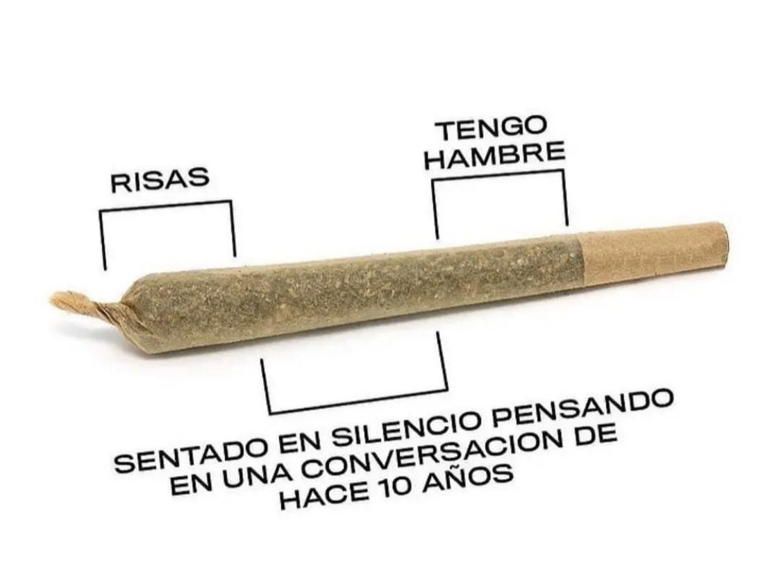 gorilafumon🚬🦍 tweet media