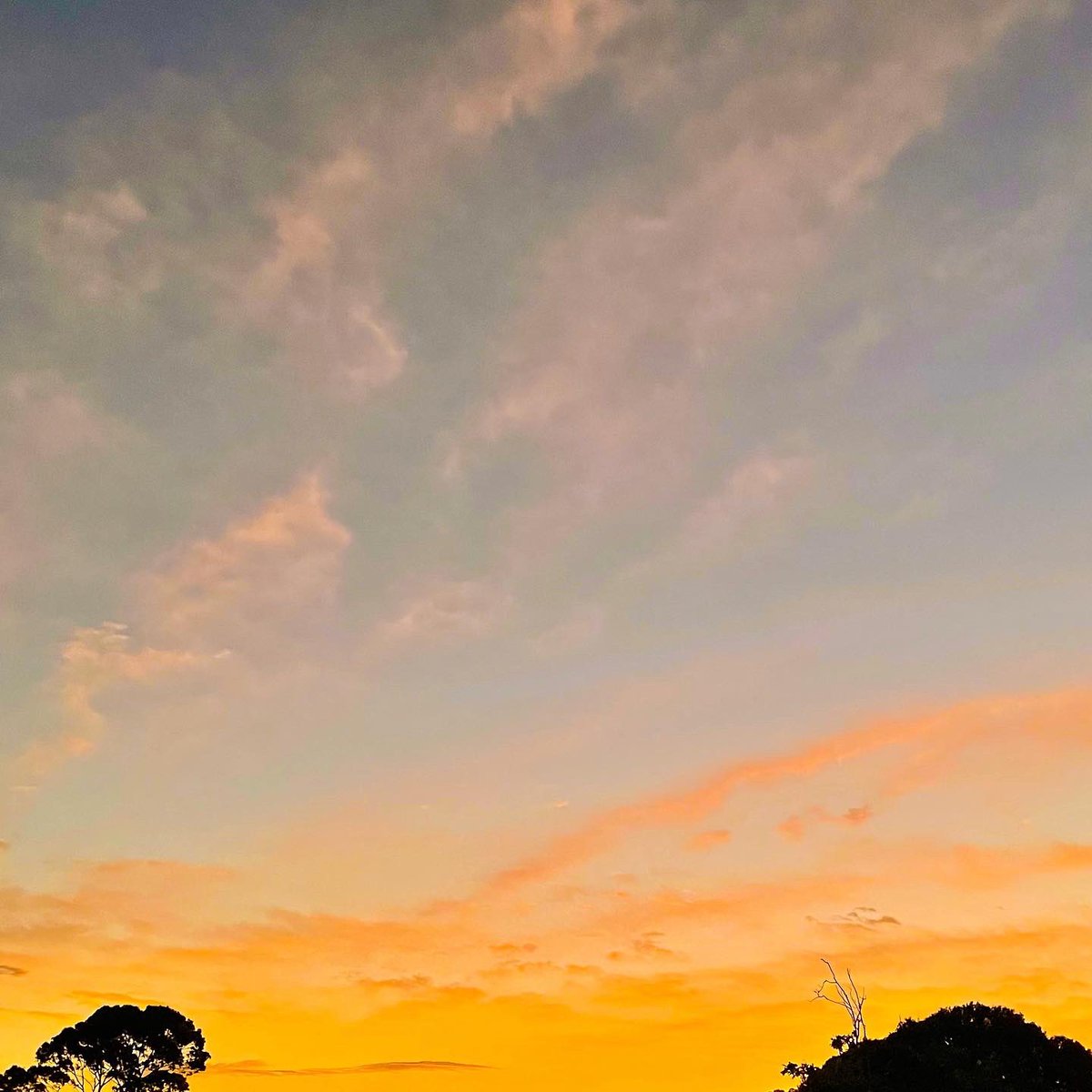 Sean Marsicovetere tweet media