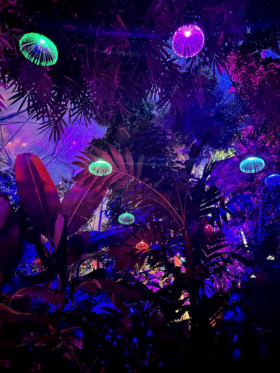 chris_can67's tweet photo. What a fab #Twixmas evening @EdenProject.  Lights, music, ice skating and Ultimate hot chocolate! #FamilyTime https://t.co/c6fDN8zTS5