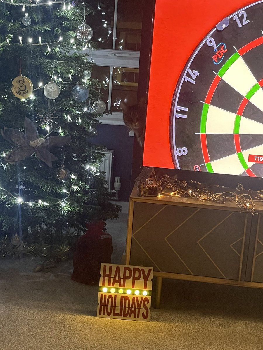 katrinask12's tweet photo. Watching the darts 🎯….where did it go? I’ve just checked and it’s not behind the tv 🐈 😂 #CatsOfTwitter #Cat #darts #DartsWorldChampionship #DartsFC https://t.co/PNXHHFltc5