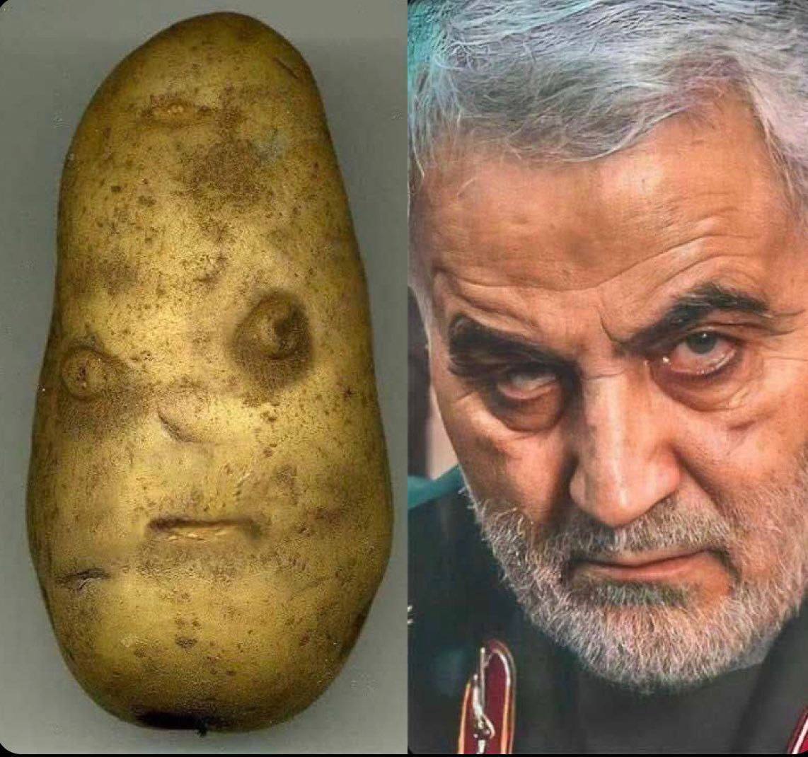 سبحان الله يخلق من الشبه اربعين! #كباب_فرمانده