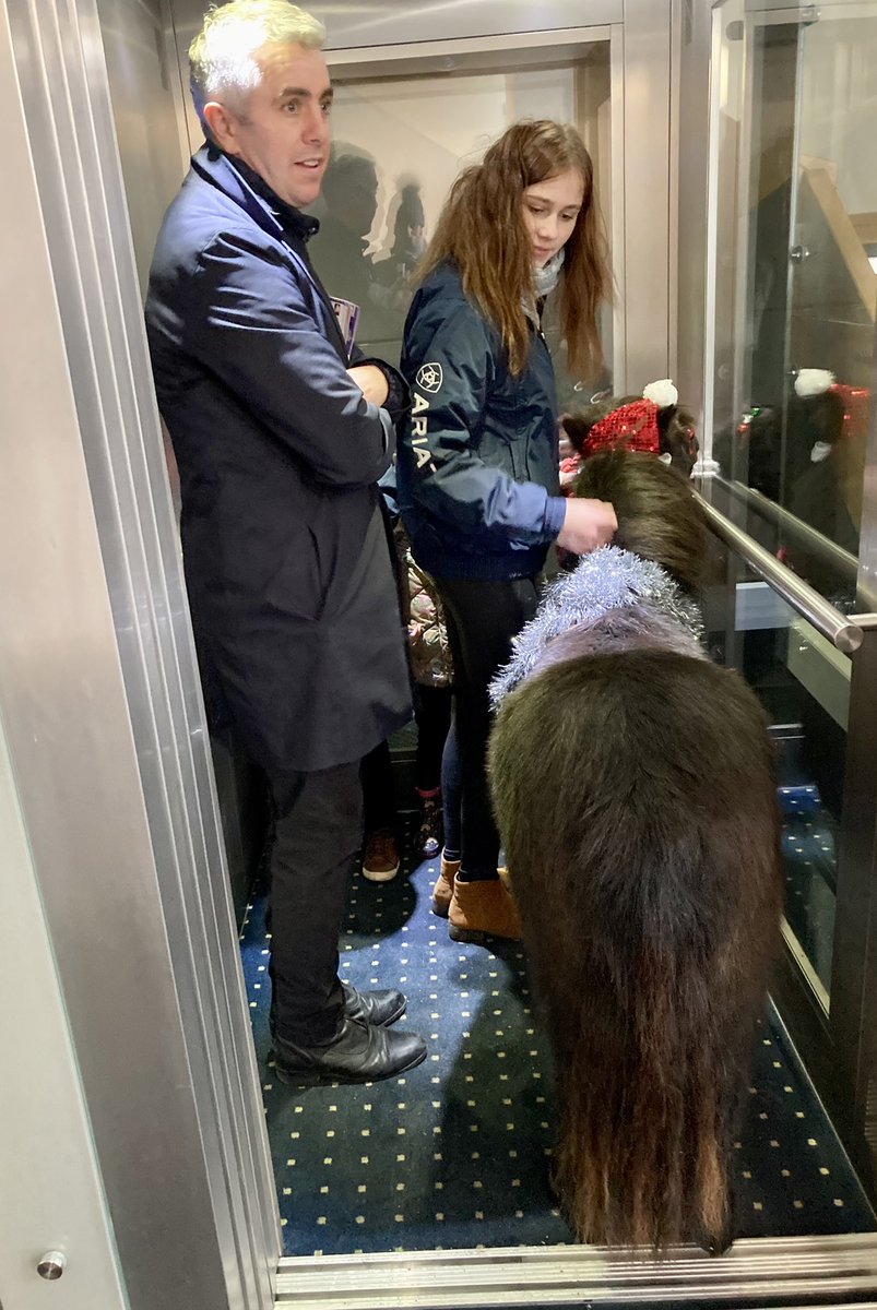 JoFosterRacing's tweet photo. My little helpers took Yogi,our mini travel companion to @WetherbyRaces today &amp;raised £460 @Racingwelfare &amp; @whenyouwishUK
A day well spent for our placid Shetland #ponyinalift
@itvracing @RacingPost @BHAHorseracing @BBCLookNorth @SportingLife16 @YorkshireRacing @yorkshirepost https://t.co/5CUqPcCK24
