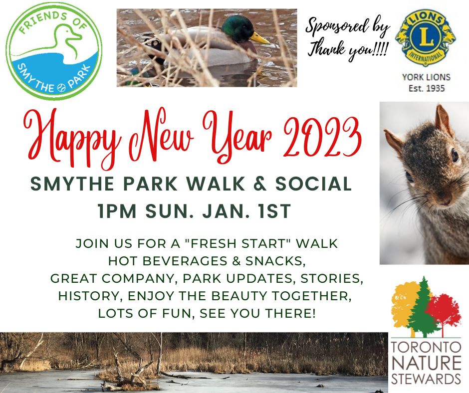 SmytheParkTO's tweet photo. Wonderful! Welcome 2023 with a FRESH START in the park with our FRIENDS! This Sunday at 1 pm. Please join us in nature. Beautiful, healthy and fun too! https://t.co/bwBn4R8ypM