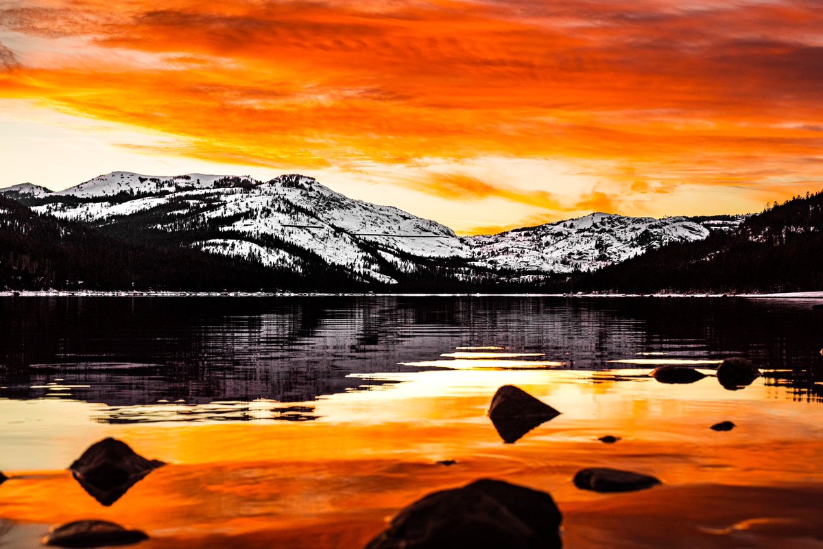 Hicks Productions tweet media